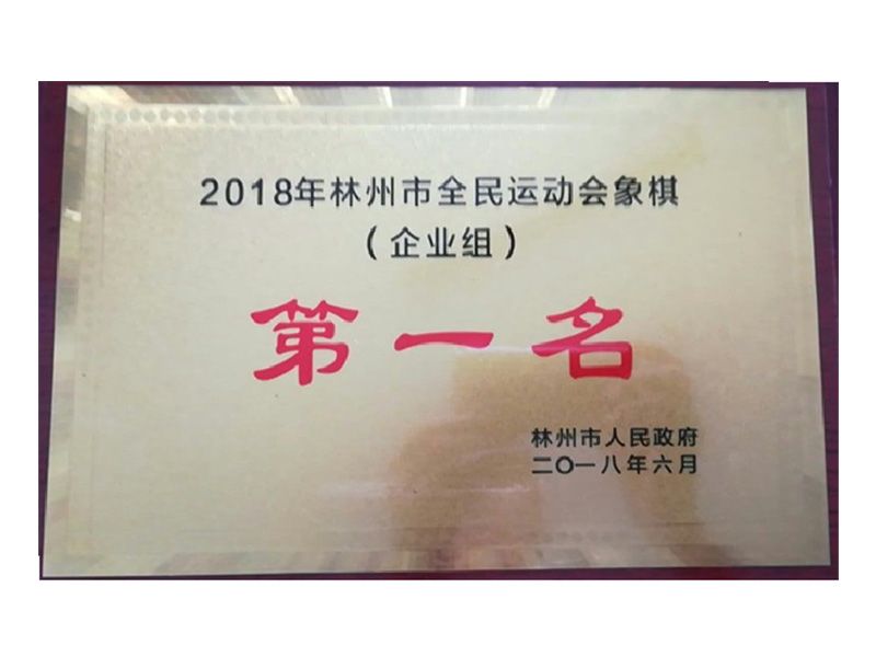 林州市全民 運動(dòng)會(huì )企業(yè)組象棋第 一名