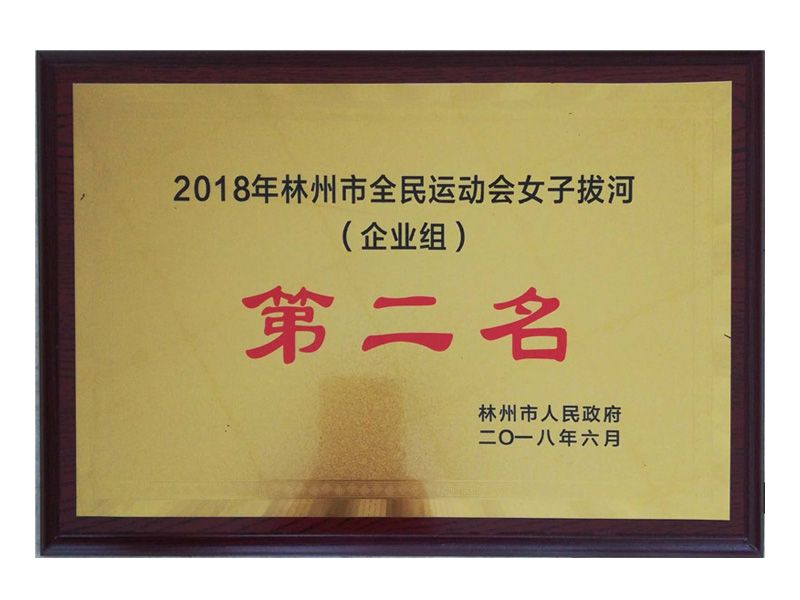 林州市全民 運動(dòng)會(huì )企業(yè)組女子拔河第二名