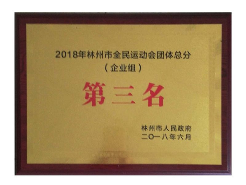 林州市全民 運動(dòng)會(huì )企業(yè)組團體總得分第三名