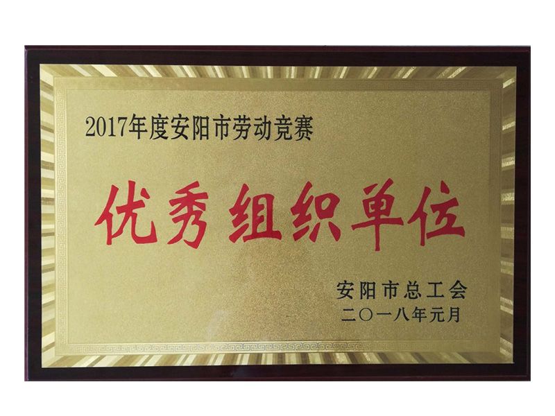 安陽(yáng)總工會(huì )授予勞動(dòng)競賽優(yōu) 秀組織獎