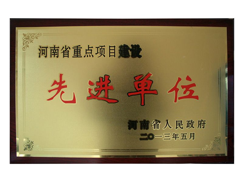 2013年河南省重 點(diǎn)項目建設先 進(jìn)單位